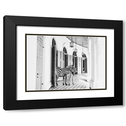 Zebra Hotel Black Modern Wood Framed Art Print with Double Matting by Mansfield, Kathy