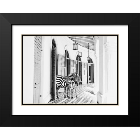 Zebra Hotel Black Modern Wood Framed Art Print with Double Matting by Mansfield, Kathy