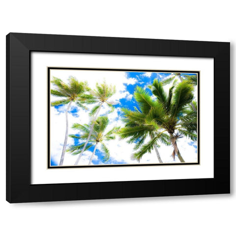 Hawaii Oahu Palms Black Modern Wood Framed Art Print with Double Matting by Bill Carson Photography