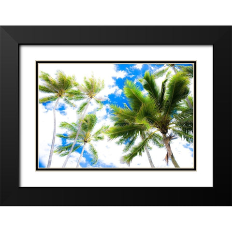 Hawaii Oahu Palms Black Modern Wood Framed Art Print with Double Matting by Bill Carson Photography