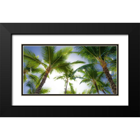 Oahu Palms Black Modern Wood Framed Art Print with Double Matting by Bill Carson Photography