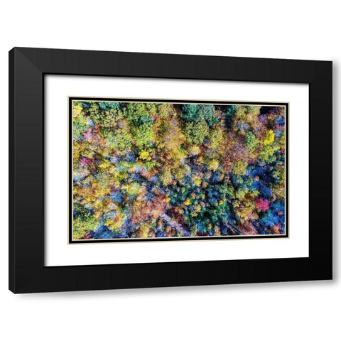 Aerial Fall Trees Black Modern Wood Framed Art Print with Double Matting by Veilleux, Jason