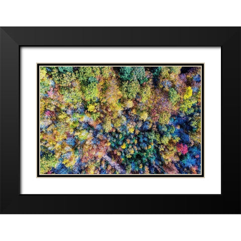 Aerial Fall Trees Black Modern Wood Framed Art Print with Double Matting by Veilleux, Jason