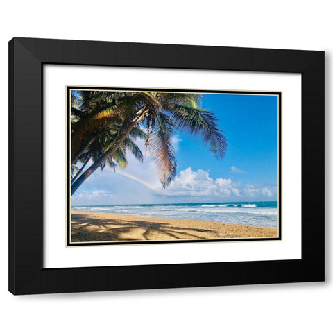Under the Palms Black Modern Wood Framed Art Print with Double Matting by Acosta