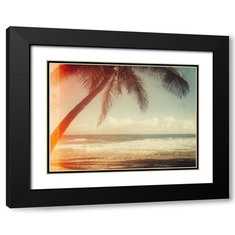 Single Palm Black Modern Wood Framed Art Print with Double Matting by Acosta