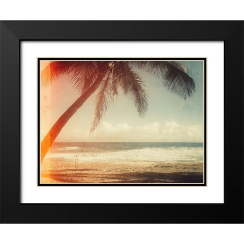 Single Palm Black Modern Wood Framed Art Print with Double Matting by Acosta