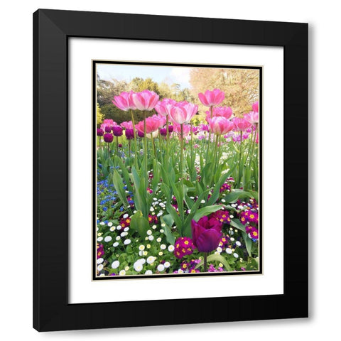 Spring Garden Black Modern Wood Framed Art Print with Double Matting by Jane, Sarah