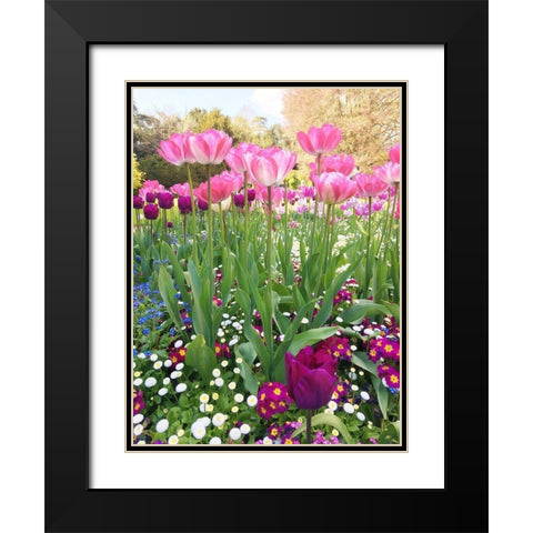 Spring Garden Black Modern Wood Framed Art Print with Double Matting by Jane, Sarah
