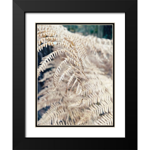 Cream Fern Black Modern Wood Framed Art Print with Double Matting by Jane, Sarah