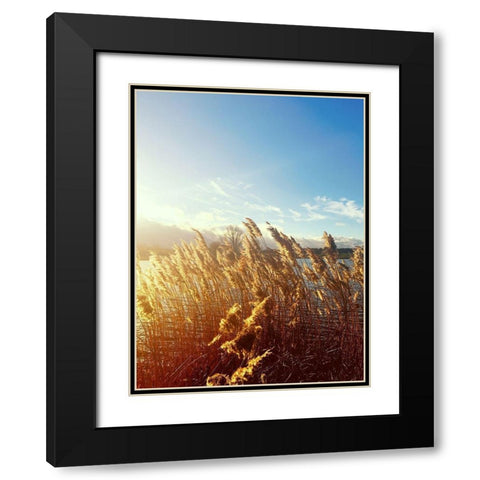 Beach Grass Black Modern Wood Framed Art Print with Double Matting by Jane, Sarah