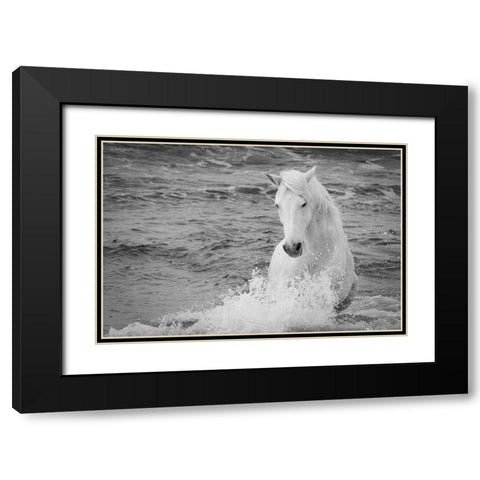 Coastal Horse Black Modern Wood Framed Art Print with Double Matting by Walker, Carol