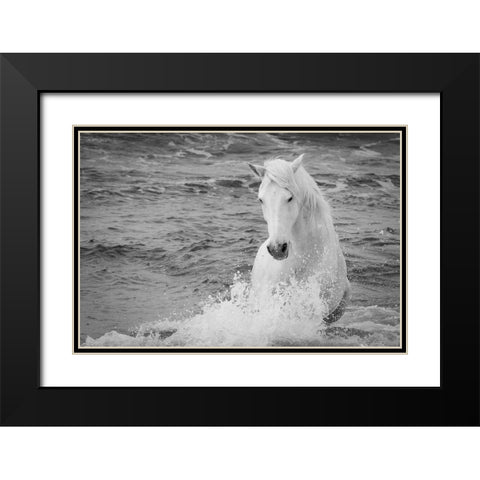 Coastal Horse Black Modern Wood Framed Art Print with Double Matting by Walker, Carol