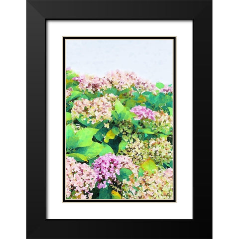 Garden Beauties I Black Modern Wood Framed Art Print with Double Matting by Navas, Emily