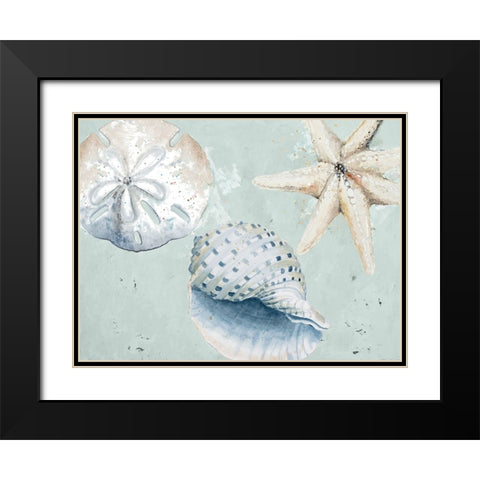 Sea Shells And Starfish Black Modern Wood Framed Art Print with Double Matting by Pinto, Patricia