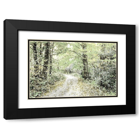 Dappled Path Black Modern Wood Framed Art Print with Double Matting by Mansfield, Kathy