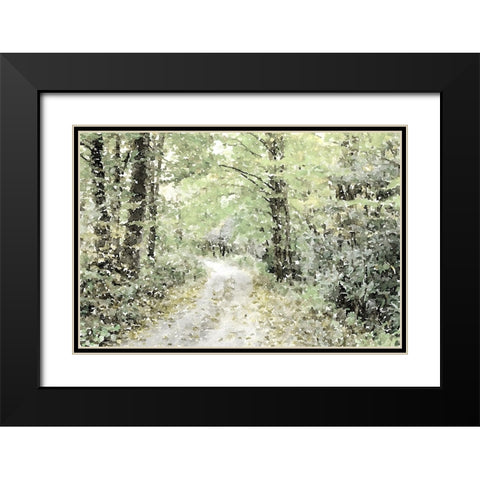 Dappled Path Black Modern Wood Framed Art Print with Double Matting by Mansfield, Kathy