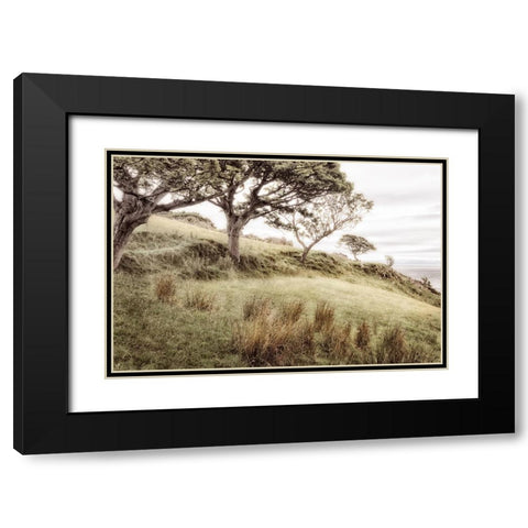 Irish Hillside Black Modern Wood Framed Art Print with Double Matting by Amos, Andy