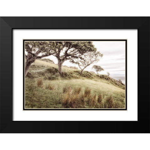 Irish Hillside Black Modern Wood Framed Art Print with Double Matting by Amos, Andy