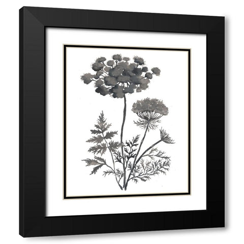 Queen Anne Black Modern Wood Framed Art Print with Double Matting by Medley, Elizabeth