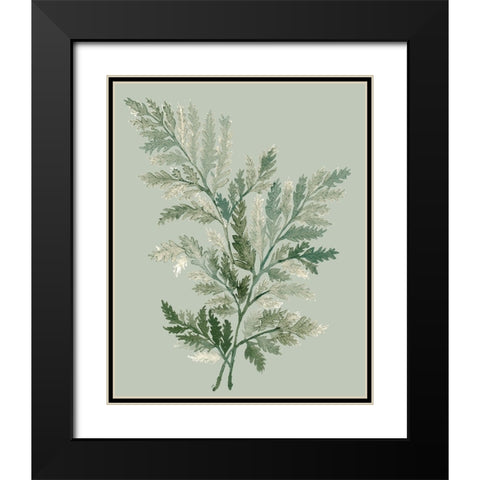 Tonal Green Ferns I Black Modern Wood Framed Art Print with Double Matting by Medley, Elizabeth