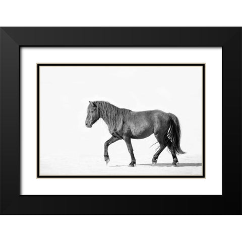 Black Horse Black Modern Wood Framed Art Print with Double Matting by Walters, Jan