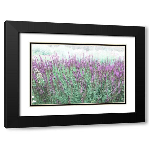 Lavender Garden Black Modern Wood Framed Art Print with Double Matting by Meneely, Dan