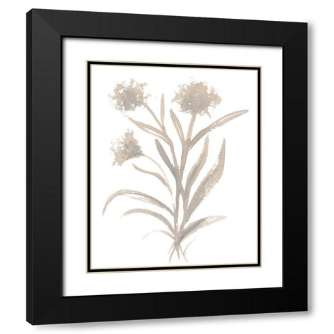 Beige Herb II Black Modern Wood Framed Art Print with Double Matting by Medley, Elizabeth