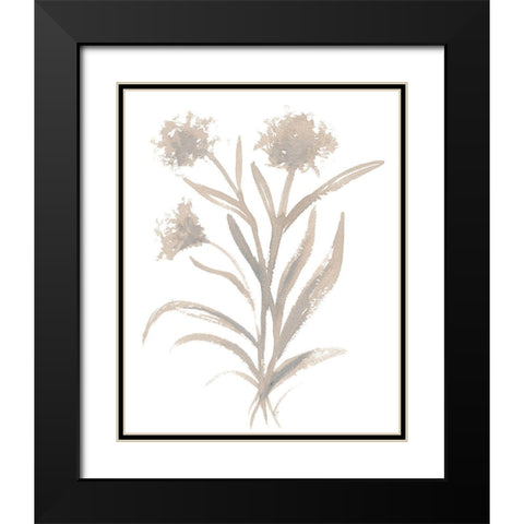 Beige Herb II Black Modern Wood Framed Art Print with Double Matting by Medley, Elizabeth
