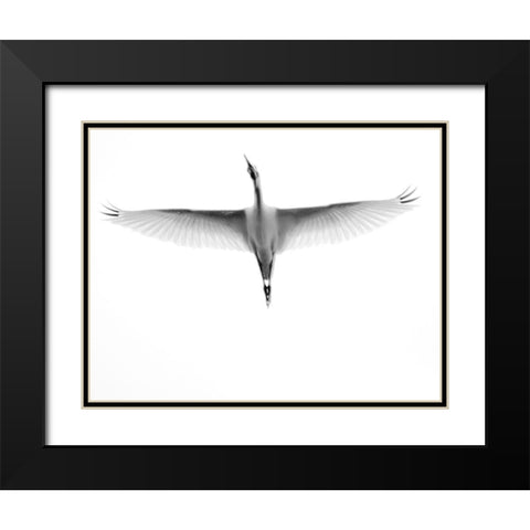 In Flight Black Modern Wood Framed Art Print with Double Matting by Bill Carson Photography