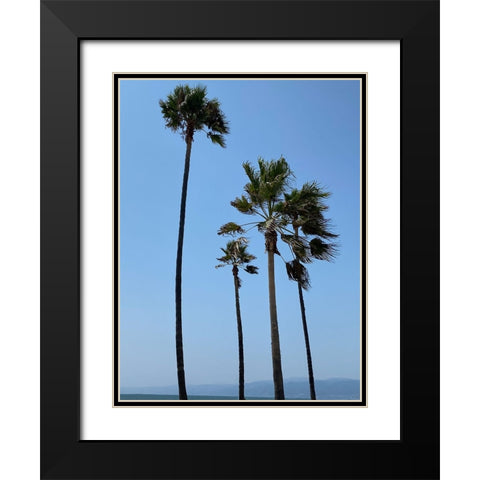 Tall Palms Black Modern Wood Framed Art Print with Double Matting by Myers, Amelia