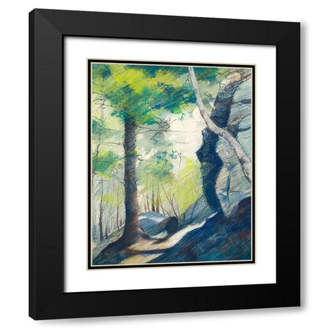Sunrise In The Woods Black Modern Wood Framed Art Print with Double Matting by Nawrocke, Bruce