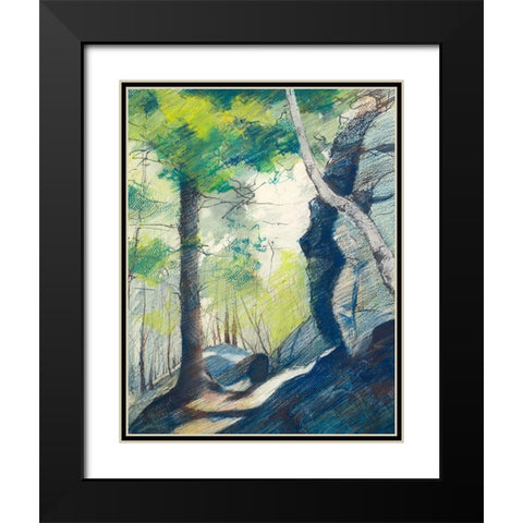 Sunrise In The Woods Black Modern Wood Framed Art Print with Double Matting by Nawrocke, Bruce