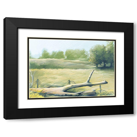 Sunrise In The Field Black Modern Wood Framed Art Print with Double Matting by Nawrocke, Bruce