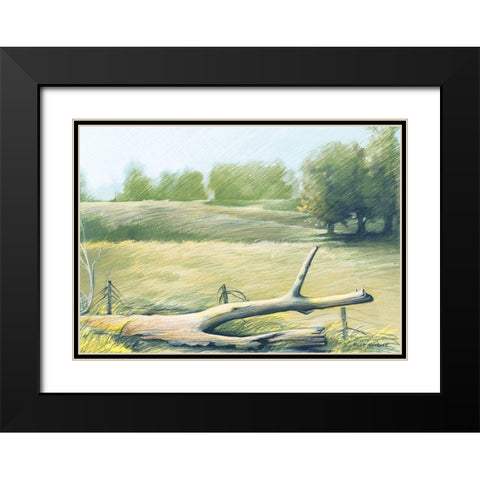 Sunrise In The Field Black Modern Wood Framed Art Print with Double Matting by Nawrocke, Bruce