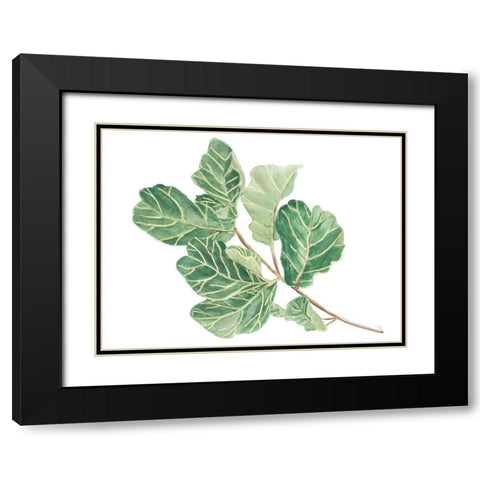 Fiddle Fig Leaf II Black Modern Wood Framed Art Print with Double Matting by Pinto, Patricia