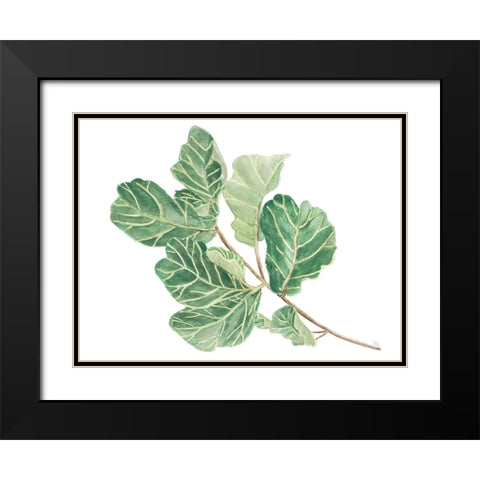 Fiddle Fig Leaf II Black Modern Wood Framed Art Print with Double Matting by Pinto, Patricia