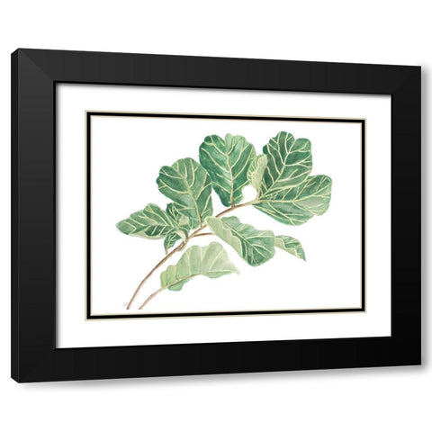 Fiddle Fig Leaf I Black Modern Wood Framed Art Print with Double Matting by Pinto, Patricia