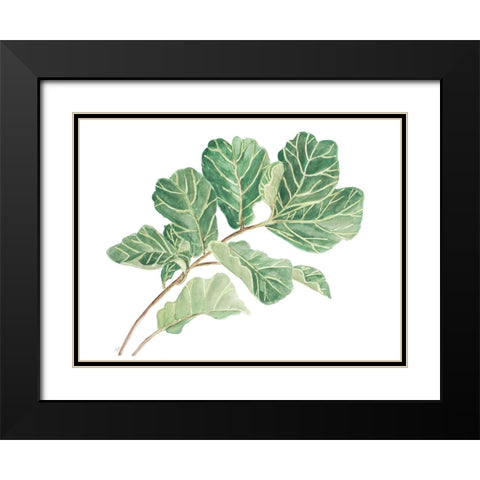 Fiddle Fig Leaf I Black Modern Wood Framed Art Print with Double Matting by Pinto, Patricia