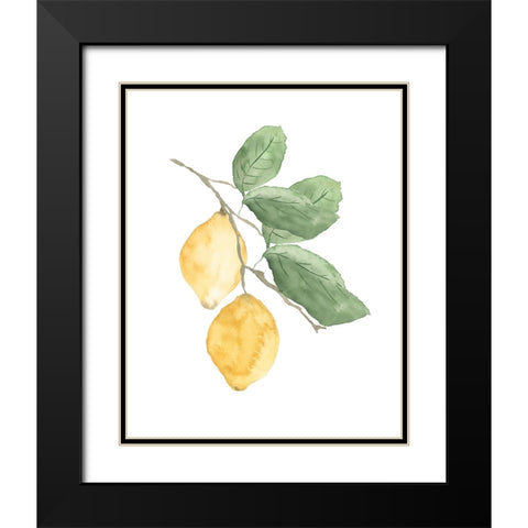 Stem Of Lemons Black Modern Wood Framed Art Print with Double Matting by Price, Lucille