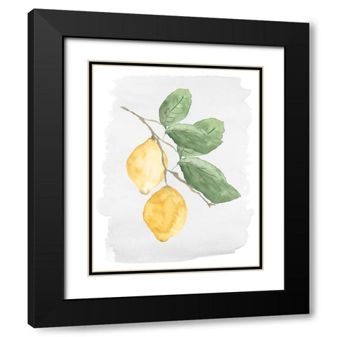Fresh Lemons Black Modern Wood Framed Art Print with Double Matting by Price, Lucille