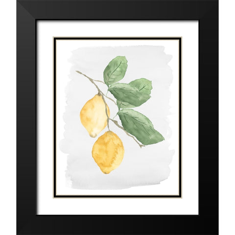 Fresh Lemons Black Modern Wood Framed Art Print with Double Matting by Price, Lucille