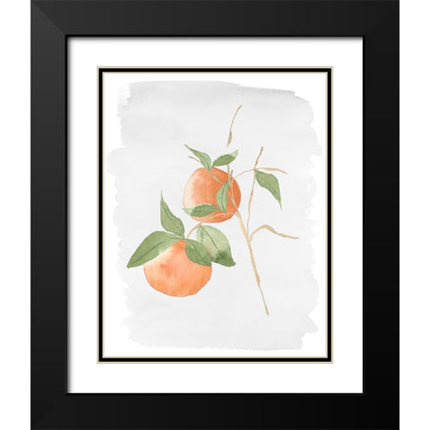 Fresh Oranges Black Modern Wood Framed Art Print with Double Matting by Price, Lucille