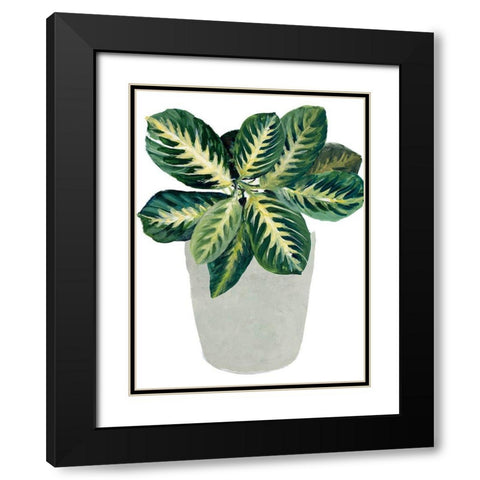 Prayer Plant II Black Modern Wood Framed Art Print with Double Matting by Loreth, Lanie