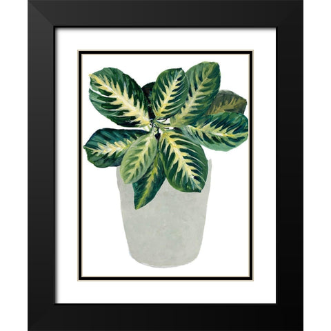 Prayer Plant II Black Modern Wood Framed Art Print with Double Matting by Loreth, Lanie
