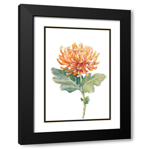 Orange Spider Mum Black Modern Wood Framed Art Print with Double Matting by Loreth, Lanie