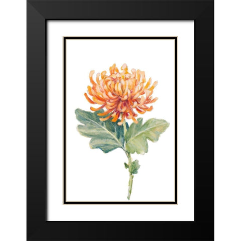 Orange Spider Mum Black Modern Wood Framed Art Print with Double Matting by Loreth, Lanie