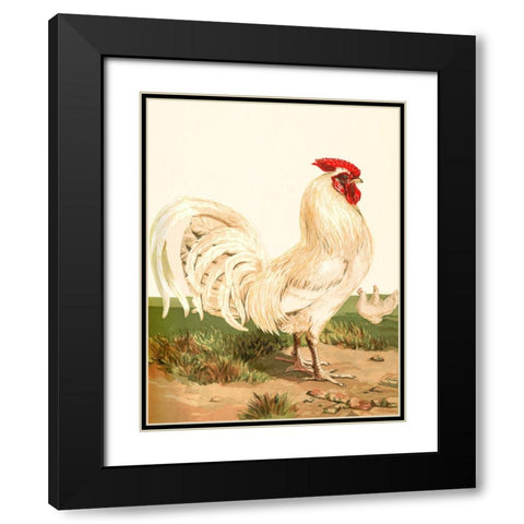 Hen Black Modern Wood Framed Art Print with Double Matting by Piddix