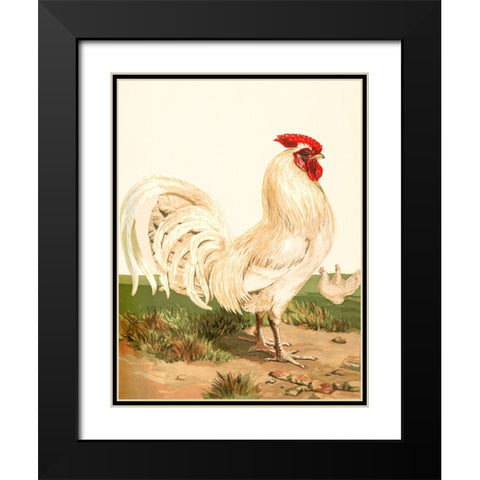 Hen Black Modern Wood Framed Art Print with Double Matting by Piddix