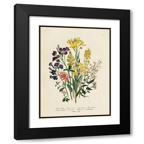 Vintage Flowers I Black Modern Wood Framed Art Print with Double Matting by Piddix