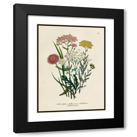 Vintage Flowers II Black Modern Wood Framed Art Print with Double Matting by Piddix